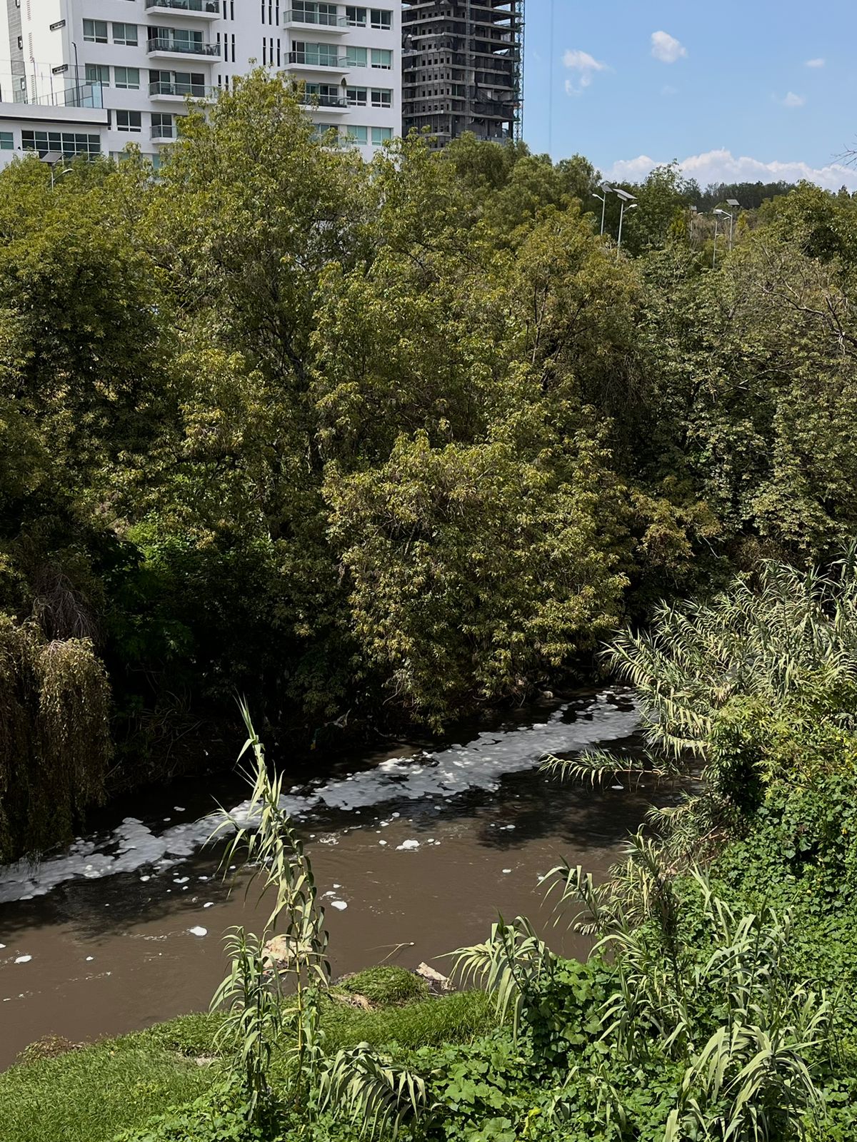 Imagen río Atoyac sucio